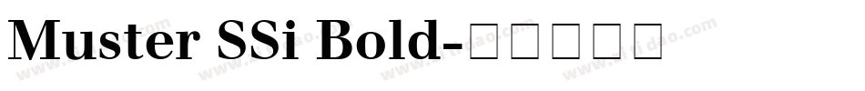 Muster SSi Bold字体转换
